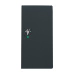 Busch-Jaeger 2CKA006220A0062 Wippe 2-fach rechts, mit Symbol Licht 