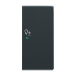 Busch-Jaeger 2CKA006220A0253 Wippe 2-fach rechts, mit Symbol Dimmer 