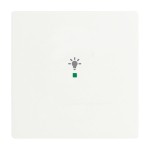 Busch-Jaeger 2CKA006220A0482 Wippe 1-fach, mit Symbol Licht 