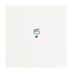 Busch-Jaeger 2CKA006220A0484 Wippe 1-fach, mit Symbol Szene 