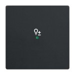 Busch-Jaeger 2CKA006220A0502 Wippe 1-fach, mit Symbol Dimmer 