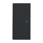 Busch-Jaeger 2CKA006220A0503 Wippe 2-fach links/rechts, ohne Bedruckung 