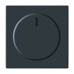 Busch-Jaeger 2CKA006599A2950 Zentralscheibe mit Befestigungsmutter für Dimmer Drehknopf mit Glimmlampe 