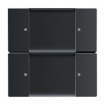 Busch-Jaeger 6736/01-885 Wandsender ZigBee Light Link 2 Kanal schwarz matt 2CKA006730A0125 