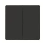 Busch-Jaeger 2CKA006730A0133 Wippe 2-fach für Bedienelement Smart Switch Plattform 63 