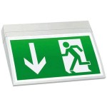 RP LED Einzelbatterieleuchte Fluchtwegleuchte KMU003 LED/3h 