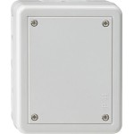 Gira 007030 Abzweigdose Grau 