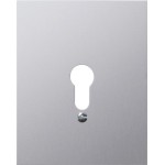 GIRA 009830 Metallabd. o.Symbole WG AP Aluminium 