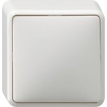 Gira 010613 Wippschalter 10AX 250V Universal-Aus-Wechselschalter Reinweiß 