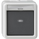 Gira 015231 Wipptaster Schließer sMK BSF WD AP Grau 