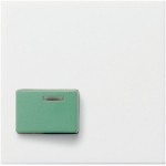 GIRA 024603 Abd. Ackermann 73642 C System 55 Reinweiß 