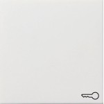 Gira 0287112 Wippe mit Symbol Tür Reinweiß glänzend 