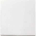 Gira 029627 Wippe Reinweiß seidenmatt 