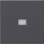 Gira 029828 Wippe mit großem Kontrollfenster Anthrazit 