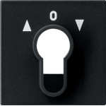 GIRA 0664005 Abd. Schlüsselschalter/-taster System 55 Schwarz m 