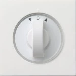 GIRA 0666112 Abd. Knebel Zeitsch. + Jalousie Flächenschalter Reinweiß 