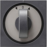 GIRA 066628 Abd. Knebel Zeitsch. + Jalousie System 55 Anthrazit 