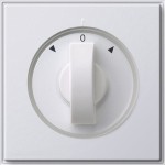 GIRA 066666 Abd. Knebel Zeitsch. + Jalousie Gira TX_44 (WG UP) Reinweiß 