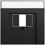 Gira 087674 Abdeckung mit Beschriftungsfeld für TAE und USB in Schwarz matt lackiert (Zubehör) 
