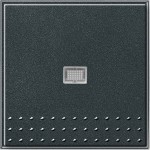 Gira 091467 Wippe für Tast-Kontrollschalter Anthrazit 