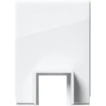 GIRA 106903 Adapter Ltg.einf. Kanal 15 x 15 mm System 55 Reinweiß 