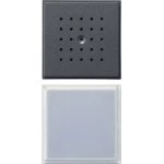 GIRA 126067 Türstation 1f UP Gira TX_44 (WG UP) Anthrazit 