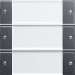 GIRA 213328 Wippenset 3f BSF System 55 Klar/Anthrazit 