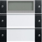 GIRA 2142005 Wippenset 2f Plus BSF System 55 Klar/Schwarz m 