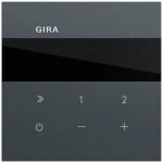 Gira 232073 Internetradio zur Unterputzmontage mit WLAN, Bluetooth und Steuerung von Sonos Lautsprechern 