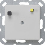 Gira 2664015 FI-Schutzschalter mit 30 mA Fehlerstromauslösung, grau matt lackiert, passend für System 55 
