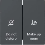 GIRA 310428 Wippschalter Anzeige Hotelzimmerstatus System 55 Anthrazit 