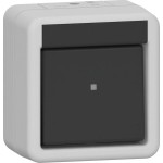 GIRA 310630 Wippschalter AusWe WG AP Grau 