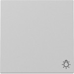 GIRA 3285015 Wippe Symb. Licht System 55 Grau m 