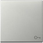 GIRA 3287600 Wippe Symb. Tür System 55 Edelstahl 