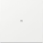 GIRA 329003 Wippe Kontrollf. System 55 Reinweiß