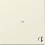 GIRA 329101 Wippe Kontrollf. + Symb. Steckd. System 55 Cremeweiß 