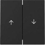 GIRA 3294005 Wippe 2f Pfeil System 55 Schwarz m 