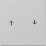 GIRA 3294015 Wippe 2f Pfeil System 55 Grau m 