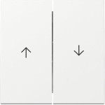 GIRA 329403 Wippe 2f Pfeil System 55 Reinweiß