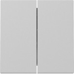 GIRA 3295015 Wippe 2f System 55 Grau m