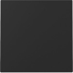 GIRA 3296005 Wippe System 55 Schwarz m 