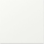 GIRA 329627 Wippe System 55 Reinweiß m 