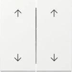 GIRA 329703 Wippe 2f Pfeile System 55 Reinweiß 