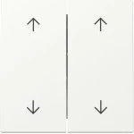 GIRA 329727 Wippe 2f Pfeile System 55 Reinweiß m 