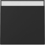 GIRA 3299005 Wippe BSF System 55 Schwarz m 