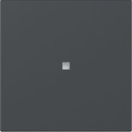 GIRA 349028 Wippe gerade Kontrollf. System 55 Anthrazit