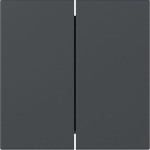 GIRA 349528 Wippe 2f gerade System 55 Anthrazit 