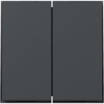 GIRA 349567 Wippe 2f gerade Gira TX_44 Anthrazit