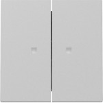 GIRA 3631015 Wippe 2f Kontrollf. System 55 Grau m