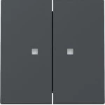 GIRA 363128 Wippe 2f Kontrollf. System 55 Anthrazit 